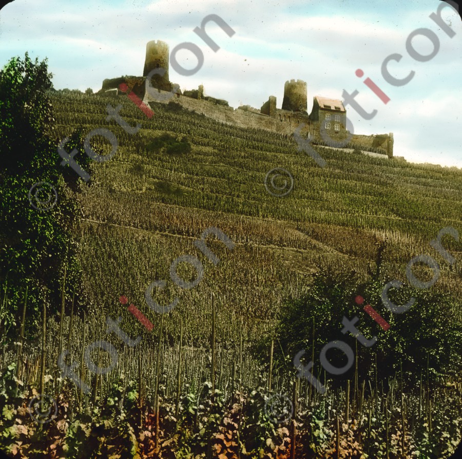 Burg Thurant | Castle Burg Thurant - Foto simon-195-007.jpg | foticon.de - Bilddatenbank für Motive aus Geschichte und Kultur